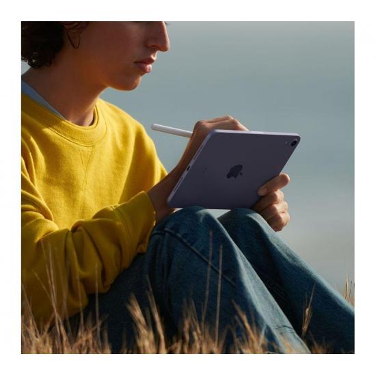 Apple iPad mini 6. Generation (2021, Wi-Fi, 64GB) - Rosé