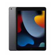 Apple 10,2 Zoll iPad 9. Generation (Wi-Fi, 256GB) - Space Grau