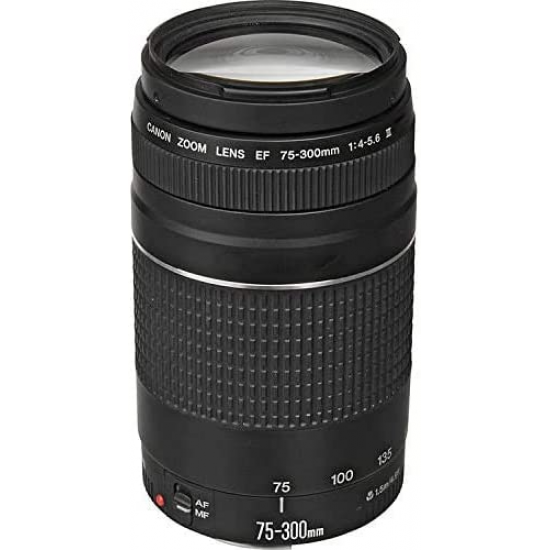 Canon EF 75-300 mm F4.0-5.6 III Objektiv