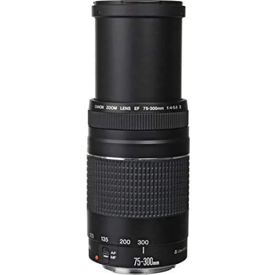 Canon EF 75-300 mm F4.0-5.6 III Objektiv