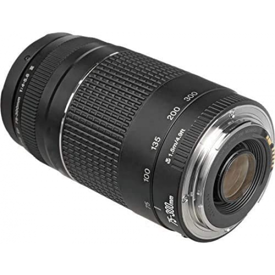 Canon EF 75-300 mm F4.0-5.6 III Objektiv