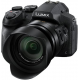 Panasonic Lumix DMC-FZ300 (12,1 MP, 24-facher optischer Zoom) – Schwarz